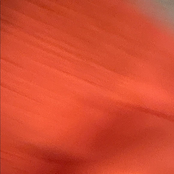 DSG Orange Track Pants - Picture 4 of 6